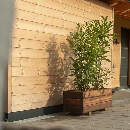 Guest house Haus Becken 3*